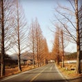 street scene in late autumn in the jeolla province area of Ã¢â¬â¹Ã¢â¬â¹south korea Royalty Free Stock Photo